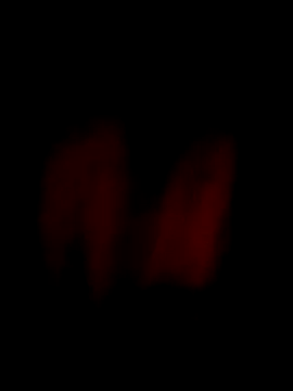 him220 online show from 04.03.26