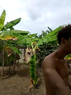 Wild and Sweets online show from 01.18.26