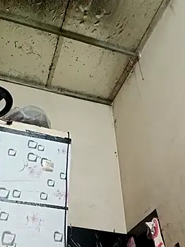 Sana-vn online show from 03.01.26