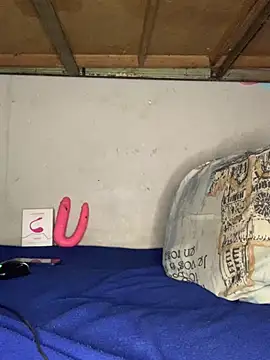 alexx 23cm online show from 02.09.26