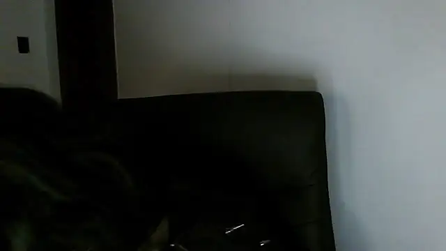 Snapshot of Aoidandelion chatting on 02.15.26 Aoidandelion online show from 02.15.26