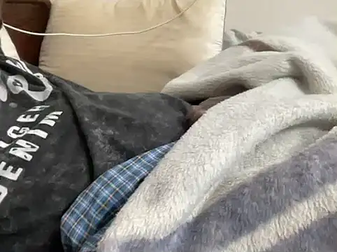 mdlaif1111 online show from 02.10.26