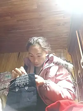 Nllpvp online show from 01.11.26