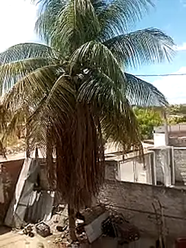 Snapshot of ____gozada---- chatting on 01.09.26 gozada---- online show from 01.09.26