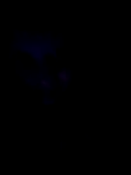 Snapshot of Sonja200 chatting on 01.08.26 Sonja200 online show from 01.08.26