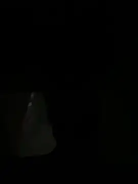 Dildogang online show from 03.07.26