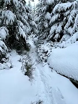 Marina und Jayden online show from 02.18.26