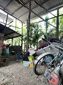 Ginny 2x online show from 01.18.26