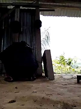 Ginny 2x online show from 03.16.26