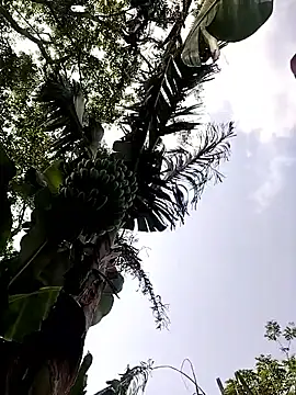 leona118 online show from 04.11.26