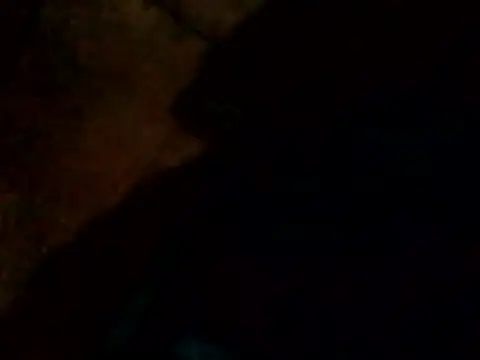 Guanatos13 online show from 02.24.26