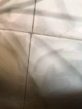 Puth Gdvbb online show from 01.10.26