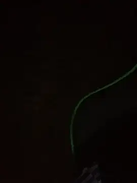 leox98xx online show from 01.10.26