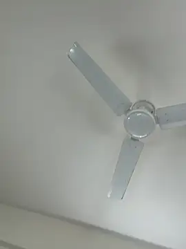 Cutenikkibaby online show from 02.23.26