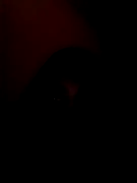 arushi bb online show from 01.15.26