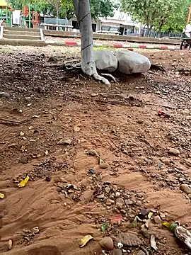 lunarous98 online show from 01.13.26