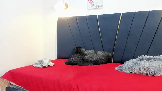 David cum18 online show from 01.18.26