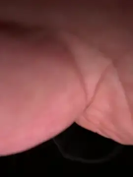 ForagingZealand online show from 01.13.26