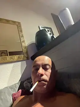 dogfrota online show from 01.11.26