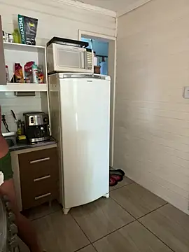 dogfrota online show from 03.12.26