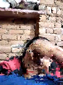 Snapshot of Hot_di97 chatting on 02.14.26 Hot di97 online show from 02.14.26