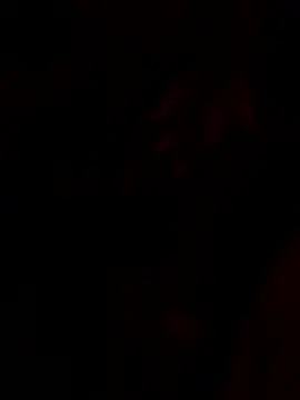 tropicalpied online show from 01.16.26