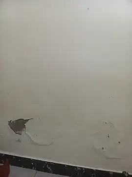 Snapshot of PatriciaVen chatting on 02.07.26 PatriciaVen online show from 02.07.26