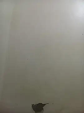 Snapshot of PatriciaVen chatting on 02.10.26 PatriciaVen online show from 02.10.26