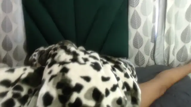 Nellybba online show from 03.27.26