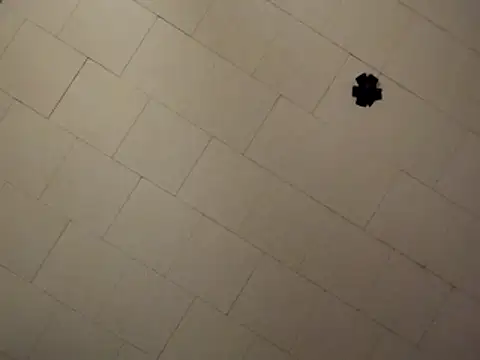 sterng6969 online show from 04.09.26