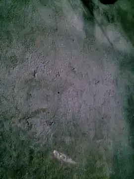 Diana-02 online show from 02.15.26