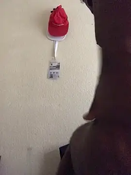 Sirbemine online show from 04.24.26