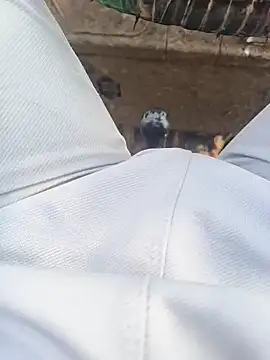 Hot BoyDick-Telugu online show from 01.15.26