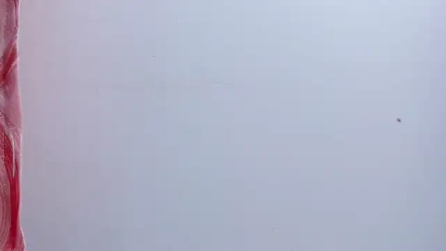 lovely  kiss   online show from 07.21.26