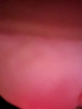 IndorsedTimid online show from 04.05.26