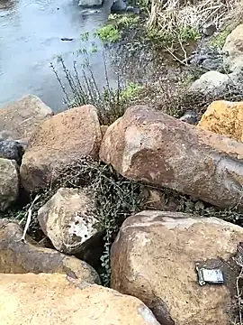 costt2 online show from 01.18.26