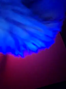 dewimp1 online show from 02.06.26