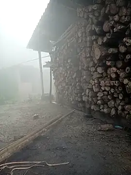 cutebobi online show from 03.23.26