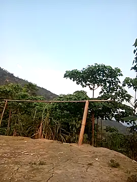 cutebobi online show from 04.11.26