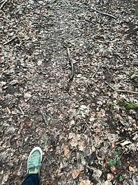 Snapshot of tony3729 chatting on 02.28.26 tony3729 online show from 02.28.26