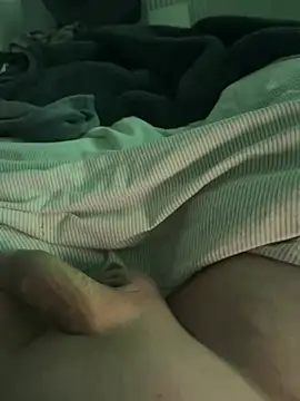 Prinz18cm online show from 02.08.26