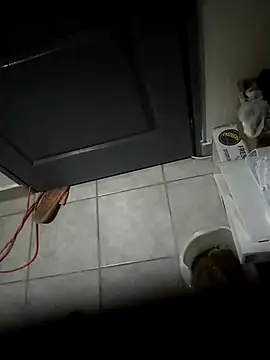 Punciprof online show from 04.09.26