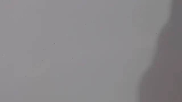 adara cute 69 online show from 02.05.26