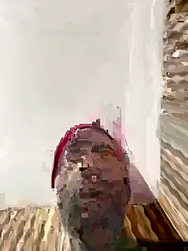 hardlysuck online show from 02.04.26