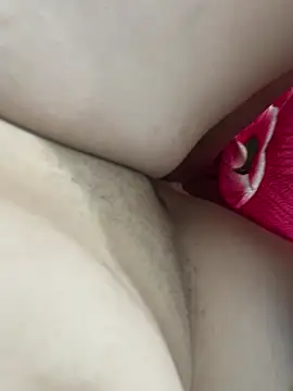 Snapshot of teubrinquedinho chatting on 02.24.26 teubrinquedinho online show from 02.24.26