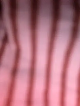 Snapshot of Heo_xxinhxx chatting on 04.14.26 Heo xxinhxx online show from 04.14.26