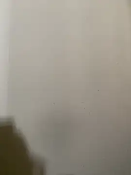 Snapshot of exoticshruti chatting on 02.02.26 exoticshruti online show from 02.02.26