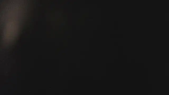 Snapshot of Fancy_Vixen chatting on 02.27.26 Fancy Vixen online show from 02.27.26