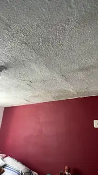 Bamby08 online show from 04.11.26