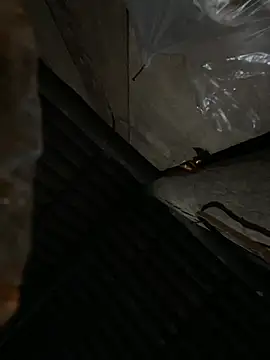 bikhidj online show from 04.13.26